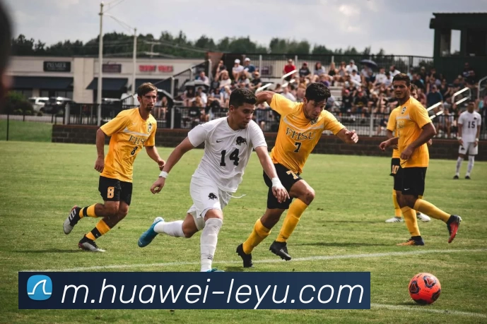 多媒体互动体验